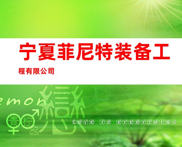 宁夏菲尼特装备工程有限公司